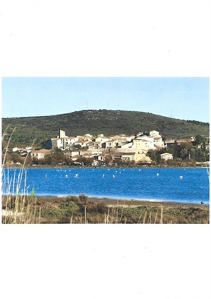 maison à la vente -   34540  BALARUC LE VIEUX, surface 0 m2 vente maison - UBI466102775